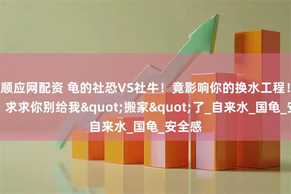 顺应网配资 龟的社恐VS社牛！竟影响你的换水工程！草龟：求求你别给我"搬家"了_自来水_国龟_安全感