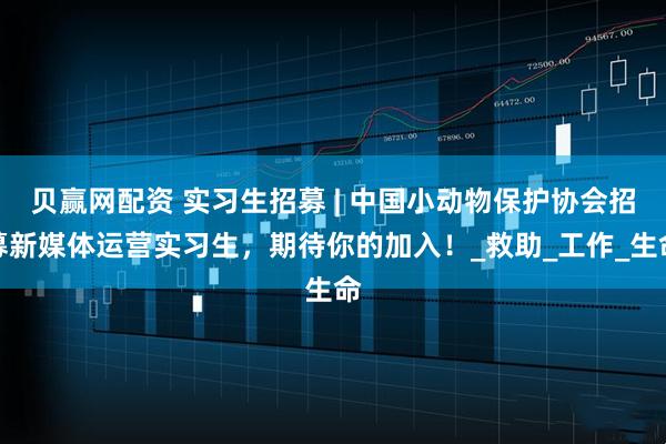 贝赢网配资 实习生招募 | 中国小动物保护协会招募新媒体运营实习生，期待你的加入！_救助_工作_生命