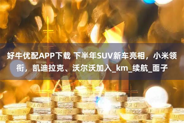 好牛优配APP下载 下半年SUV新车亮相，小米领衔，凯迪拉克、沃尔沃加入_km_续航_面子