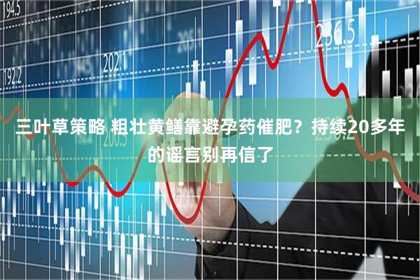 三叶草策略 粗壮黄鳝靠避孕药催肥？持续20多年的谣言别再信了